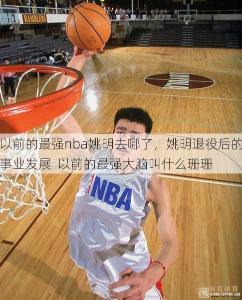 以前的最强nba姚明去哪了，姚明退役后的事业发展  以前的最强大脑叫什么珊珊